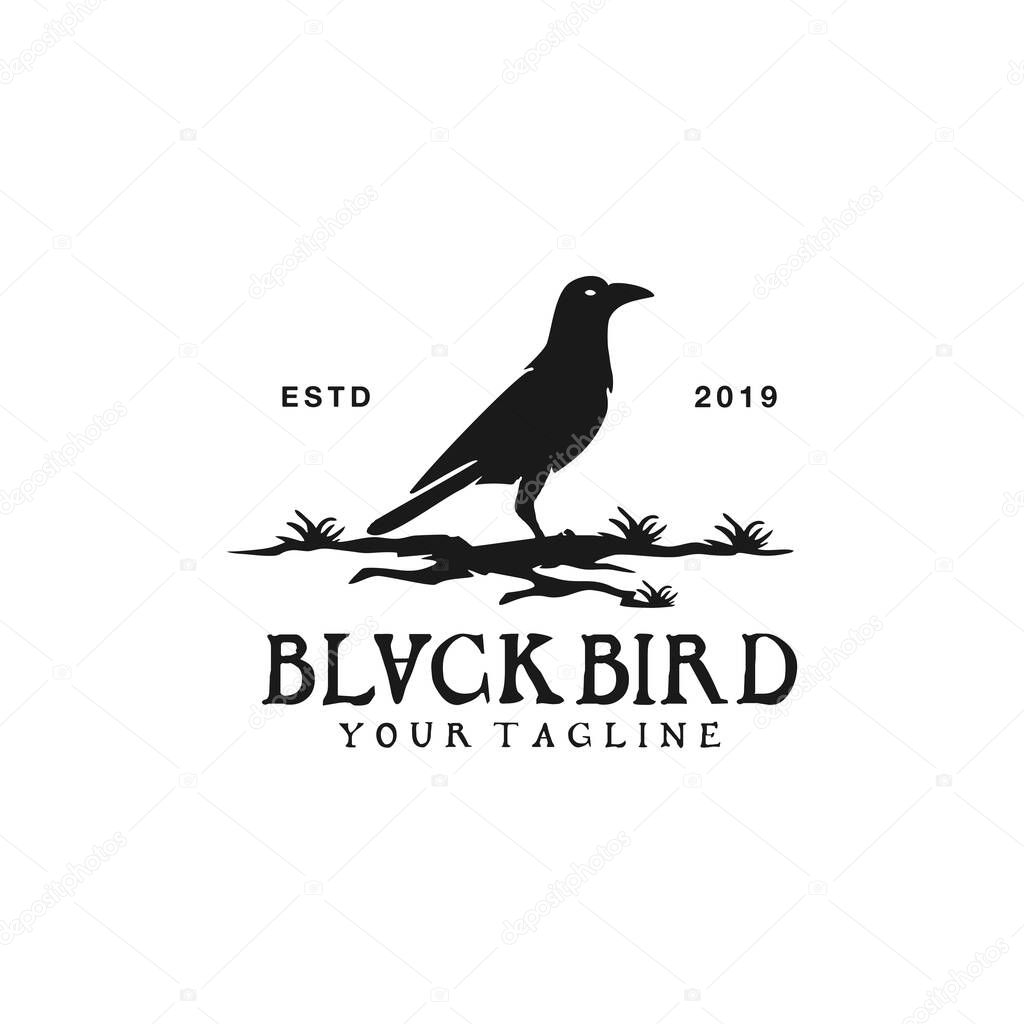 Black and White black bird logo