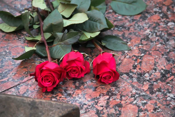 Drie Rode Rozen Een Marmeren Gedenkplaat — Stockfoto