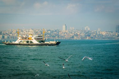İstanbul'un Avrupa kesiminde Martılarla Boğaziçi'nden Wiev