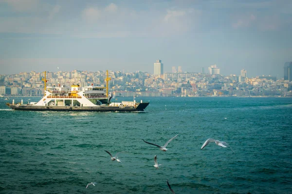 İstanbul'un Avrupa kesiminde Martılarla Boğaziçi'nden Wiev