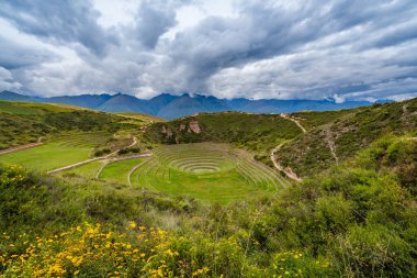 Inca Terraces of Moray in the Sacred Valley of the Incas, Cusco Region, Peru