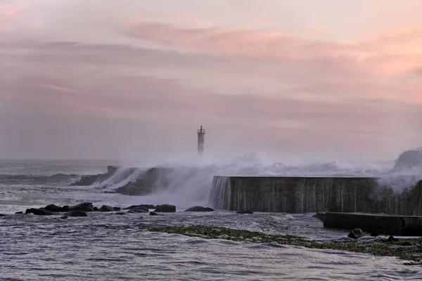 Ave Desembocadura Del Río Atardecer Norte Portugal — Foto de Stock