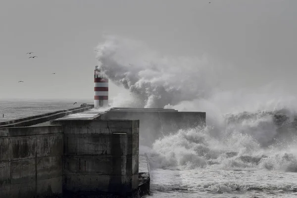 Grosse Vague Orageuse Douro Embouchure Fleuve Jetée Sud Balise — Photo