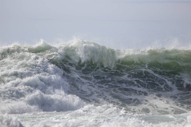 Büyük yeşil dalga. Kuzey Portekiz kıyısında.