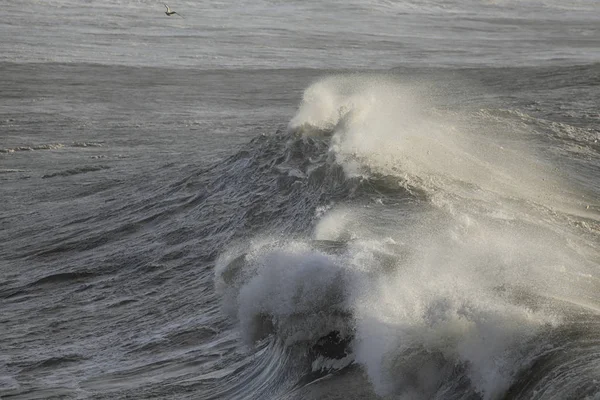 Büyük Okyanus Kırma Dalgalar Kuzey Portekiz Kıyısında — Stok fotoğraf