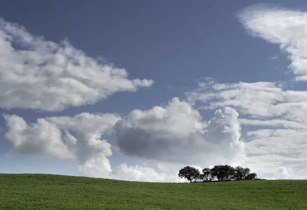 Paysage Typique Plaine Alentejo Sud Portugal — Photo