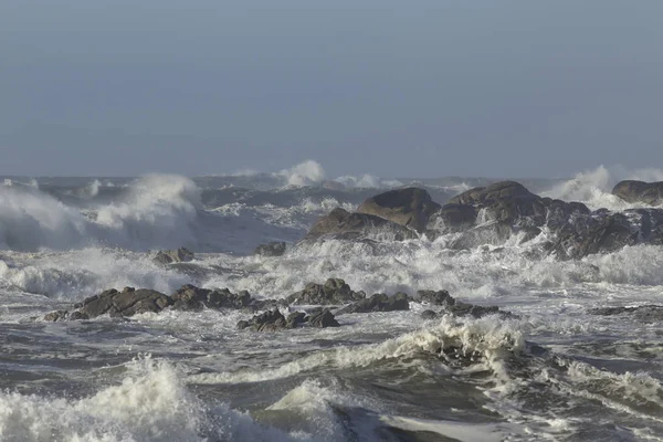 Θύελλα Στην Ακτή Της Θάλασσας Μια Όμορφη Ηλιόλουστη Μέρα — Φωτογραφία Αρχείου