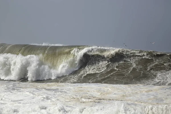 Детальний Великий Бурхливому Морі Хвиля Північне Узбережжя Португальська — стокове фото