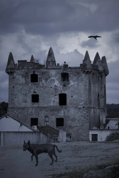Torre Medieval Assustadora Entardecer — Fotografia de Stock