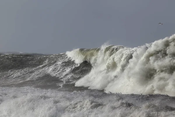 详细的大风浪海浪 葡萄牙北部海岸 — 图库照片