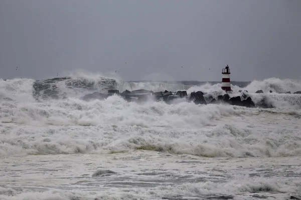 Typische Noordelijke Portugese Ruwe Zee Tijdens Winter — Stockfoto