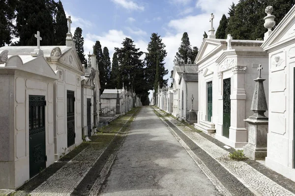 Alte Europäische Friedhofstraße Lisbon — Stockfoto