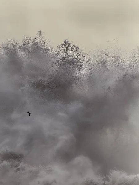 Enorme Suave Retroiluminado Tormenta Rompiendo Ola Costa Norte Portuguesa Una — Foto de Stock