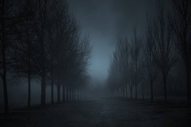 Gece veya akşam karanlığı kışın Karanlık sisli park