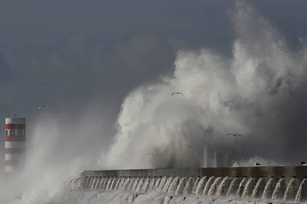 Grande Vague Blanche Mer Éclaboussure Avec Une Lumière Dramatique Filtrée — Photo