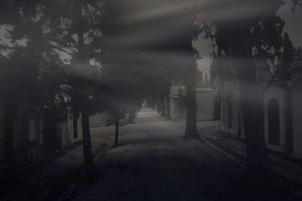 Letzte Lichtstrahlen Auf Dem Alten Dunklen Europäischen Friedhof — Stockfoto