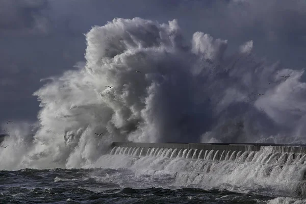 Grande Onda Tempestuosa Respingo — Fotografia de Stock