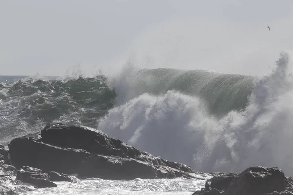 Nagy Összetörő Hullám Egy Napsütéses Napon Északi Portugál Sziklás Partján — Stock Fotó