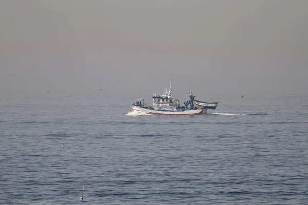葡萄牙马托辛霍斯 2015年9月29日 在雾蒙蒙的早晨 葡萄牙沙丁鱼沙丁鱼木拖网渔船驶向莱克斯港 — 图库照片