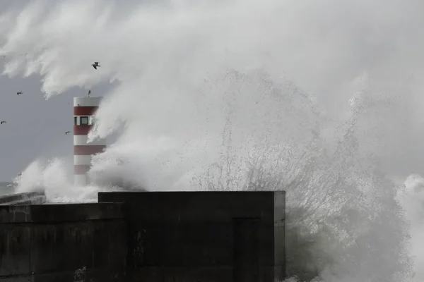 Énorme Tempête Mer Vague Éclaboussure Sur Jetée Balise Gros Plan — Photo