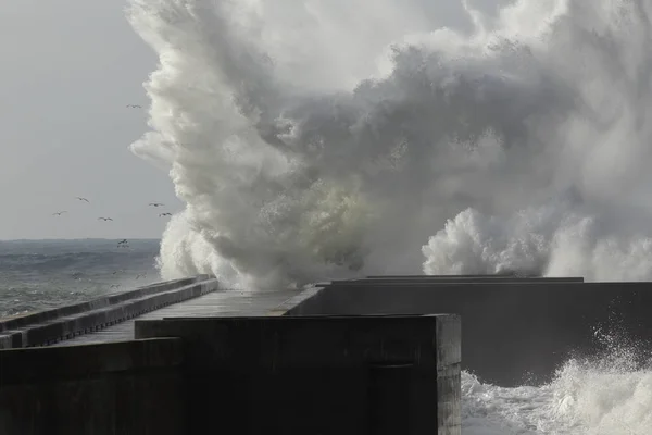 Grosse vague éclaboussure gros plan — Photo