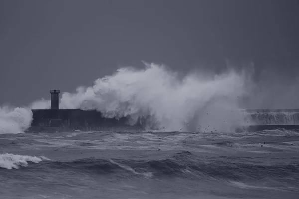 stock image Leixoes harbor under heavy storm