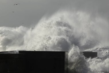 Dev bir dalga sıçrama. Douro nehir ağzı north pier ve beacon.