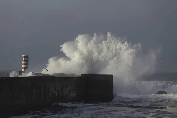 Moře Vlna Splash Jižním Molu Ústí Řeky Douro Maják Porto — Stock fotografie