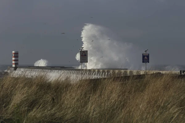 葡萄牙北部海岸出现大浪飞溅 码头和危险警示牌 — 图库照片