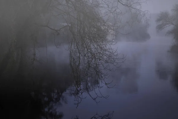 Mystérieuse Rivière Forêt Brumeuse Nuit Voir Moulin Eau — Photo