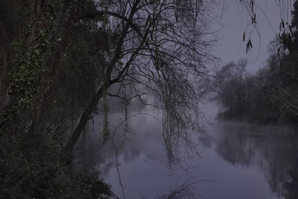 Misterioso Fiume Foresta Nebbiosa Notte Crepuscolo Vedendo Mulino Acqua — Foto Stock