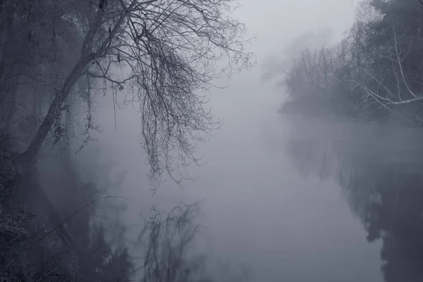 Romantik Ave Nehrin Kuzeyinde Portekiz Ilk Son Işınları Dönüştürülen Siyah — Stok fotoğraf