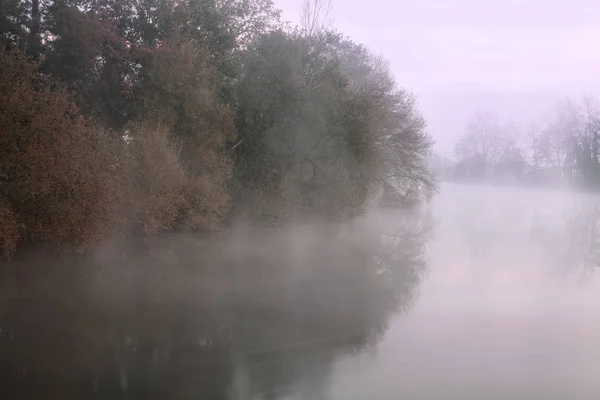 Романтичний Ave Річки Кривої Світанку Туман Північ Від Португалії — стокове фото