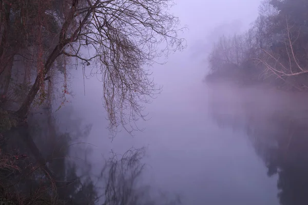 First Last Rays Romantic Ave River North Portugal — Stock Photo, Image