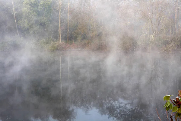 Forest Foggy River Dawn Ave River North Portugal — Stock Photo, Image