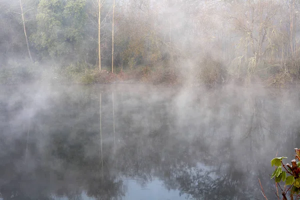 Wald Nebeligen Fluss Morgengrauen Ave River Nördlich Von Portugal — Stockfoto