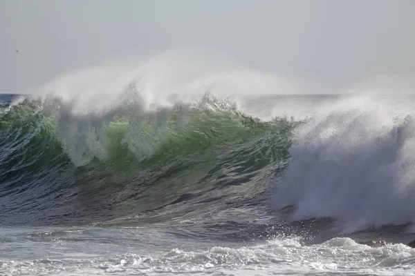 Onde Verte Détaillée Avec Pulvérisation Nord Portugal — Photo