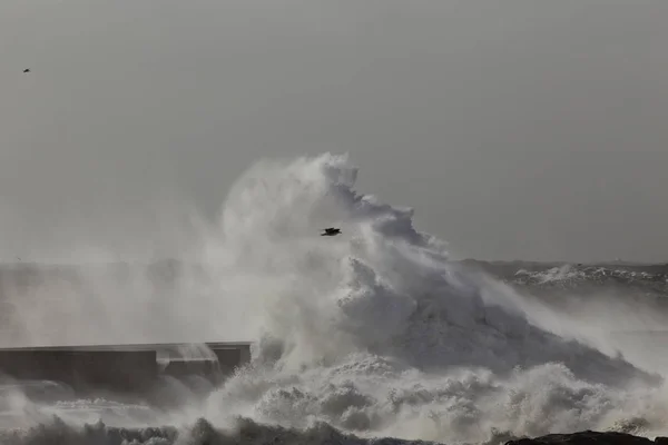 在狂风暴雨但阳光明媚的日子里 大浪在码头和岩石上飞溅 葡萄牙北部 — 图库照片