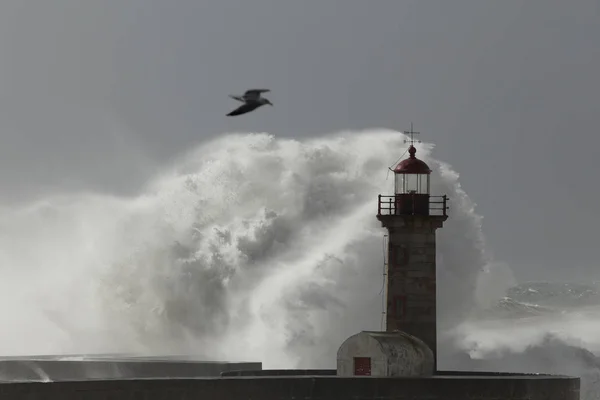 Mjuk Baclit Stor Våg Plask Gamla Douro Floden Mun Fyren — Stockfoto