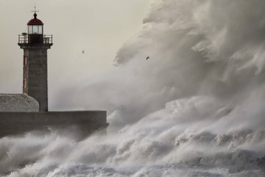 Büyük fırtınalı denizde çökmesini dalga. Douro nehir ağzı eski deniz feneri ve İskelesi, Porto, Portekiz.