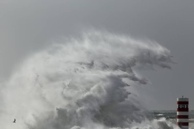 Büyük fırtınalı dalga sıçrama. Douro nehir ağzı iskele ve beacon.