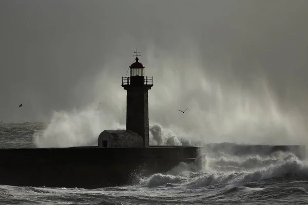 Spray Great Wave Reaching Old Lighthouse Pier Soft Backlit Douro — Stock Photo, Image