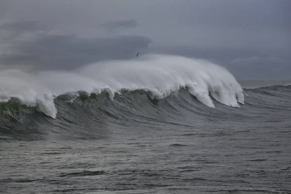 Hosszú tengeri hullám a szél spray — Stock Fotó