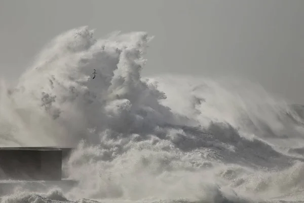 Ensoleillé grosse vague orageuse éclaboussure — Photo