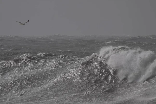Tormenta rompiendo olas —  Fotos de Stock
