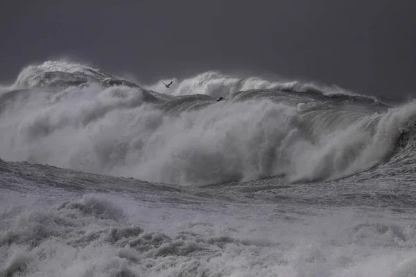 Tormenta rompiendo olas —  Fotos de Stock