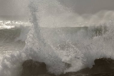 Güzel detaylı deniz dalgası sıçrama