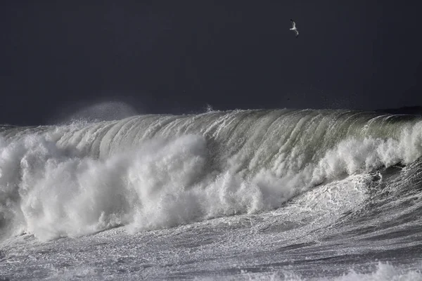 Dramatik büyük fırtınalı kırılma dalgası — Stok fotoğraf