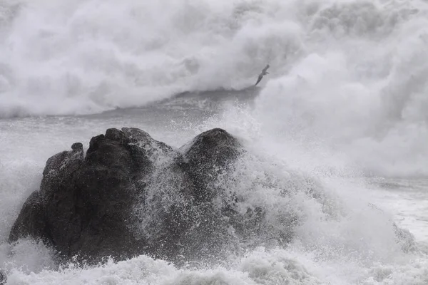 Ο βράχος χτυπήθηκε από θυελλώδη θάλασσα — Φωτογραφία Αρχείου