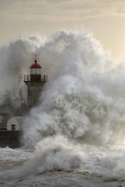 Mar tormentoso al atardecer —  Fotos de Stock
